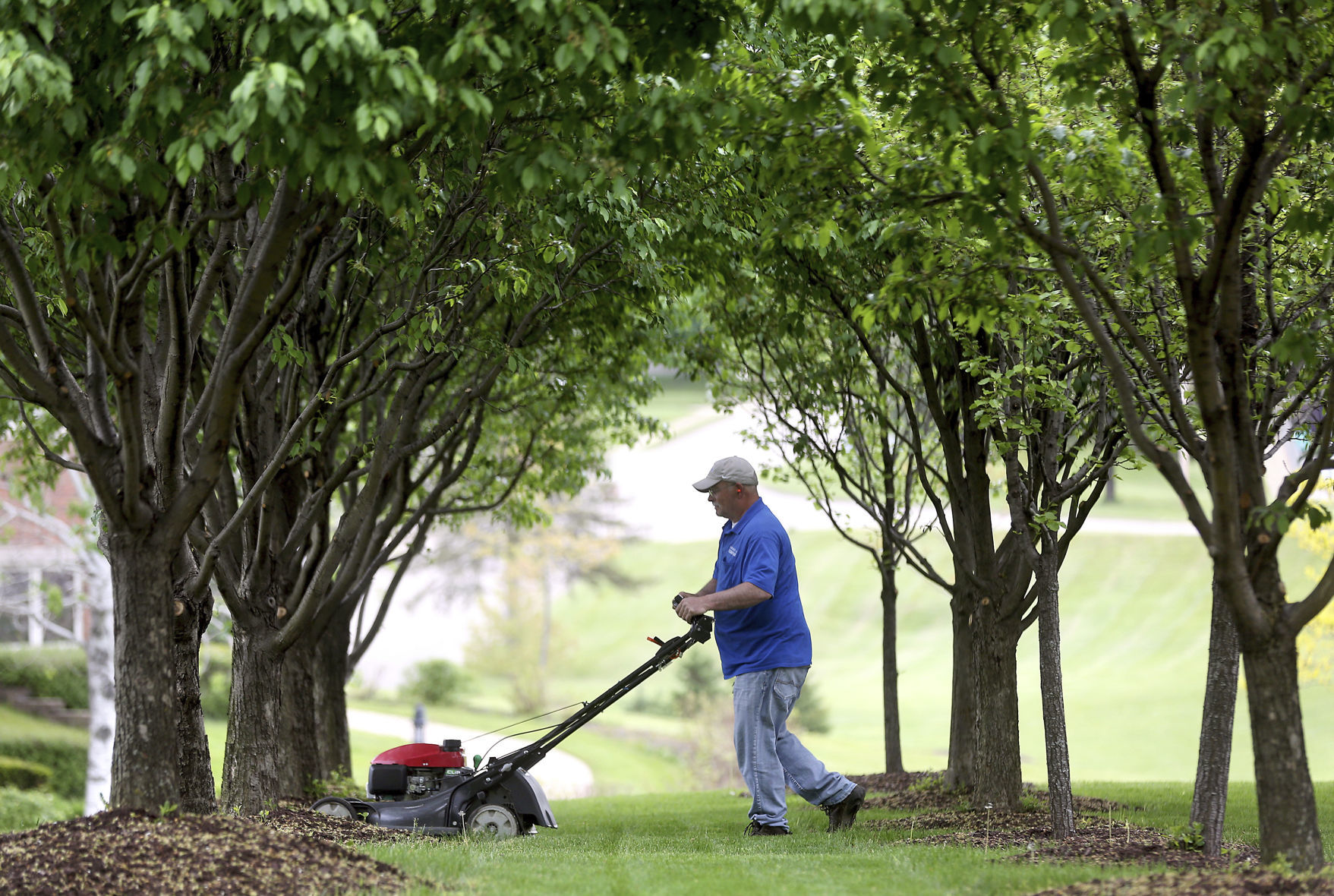 Lawn maintenance